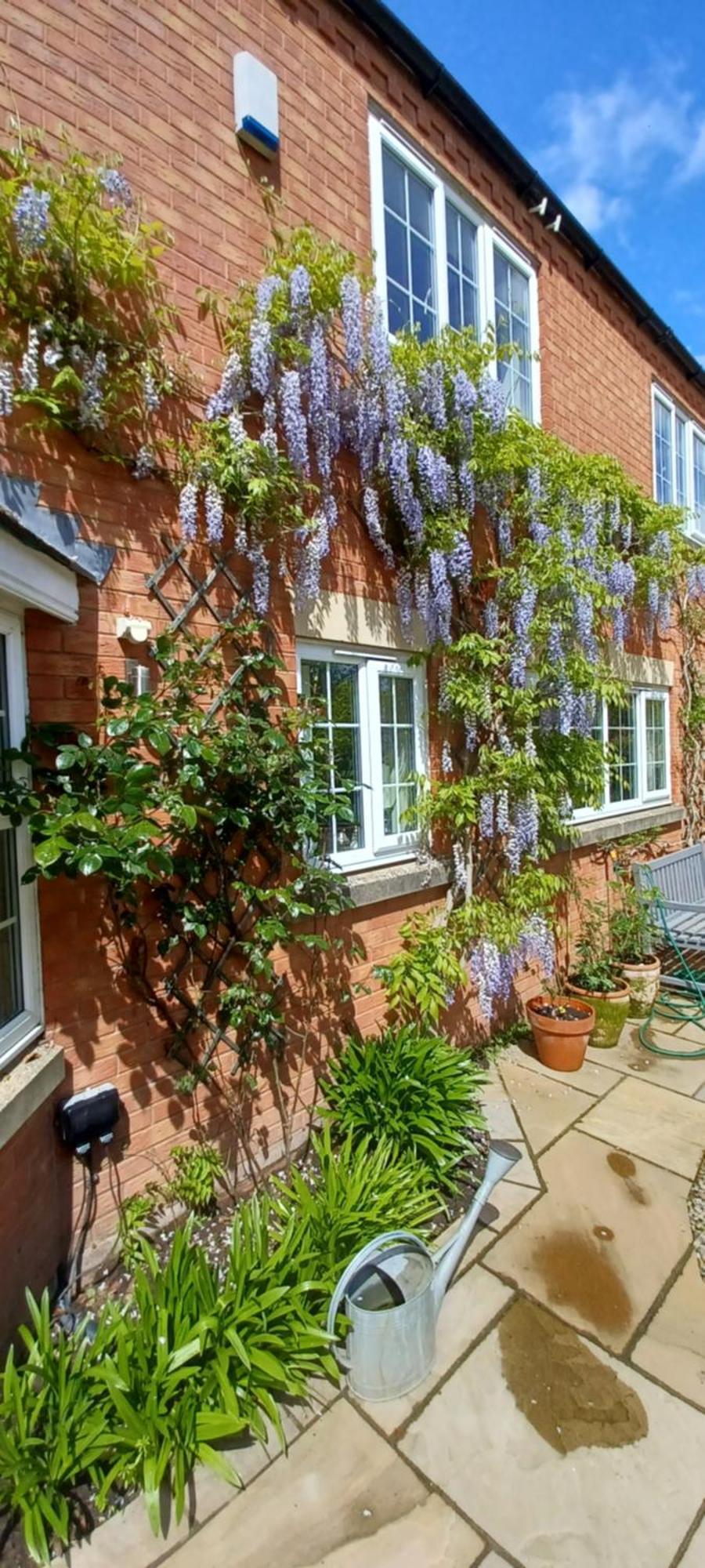Harlequin B&B Ledbury Exterior foto